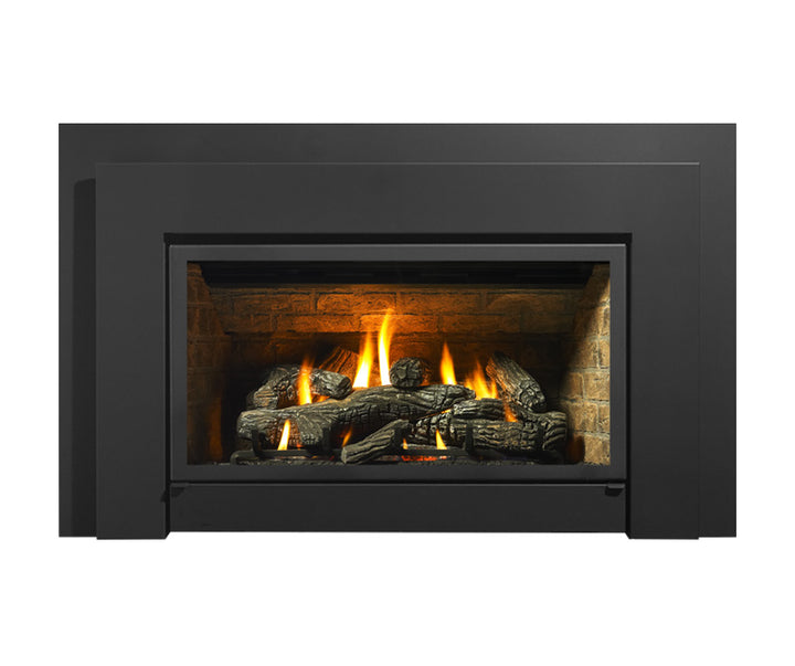 Regency® Liberty L234 Gas Insert