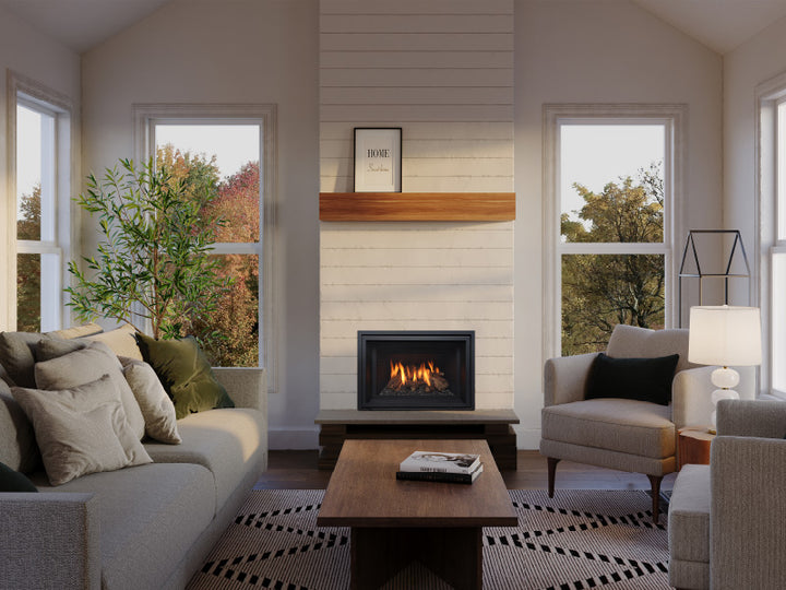 Regency® Gi25 Gas Insert Proflame II