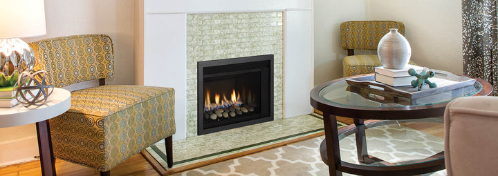Regency® Horizon HRI3E Gas Insert