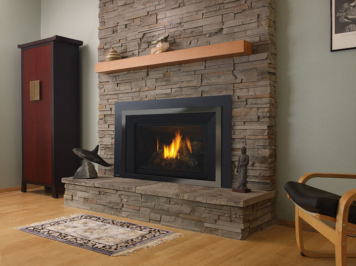 Regency® Horizon HRI6E Gas Insert