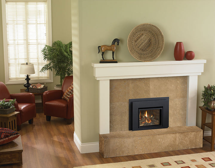 Regency® Liberty L234 Gas Insert