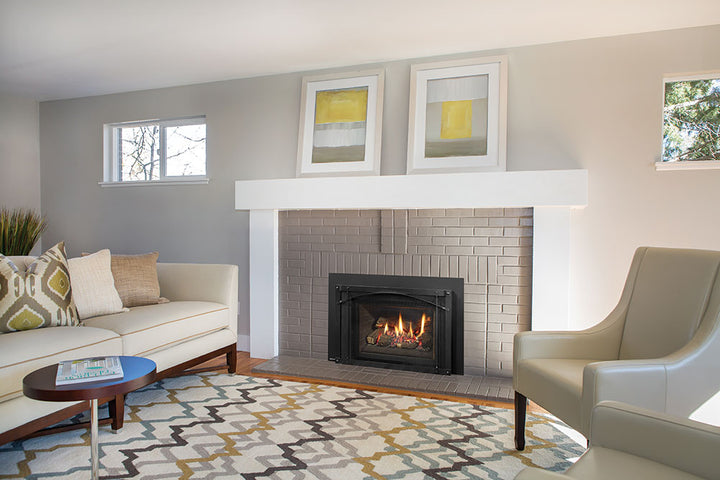 Regency® Radiant LRI4E Gas Insert