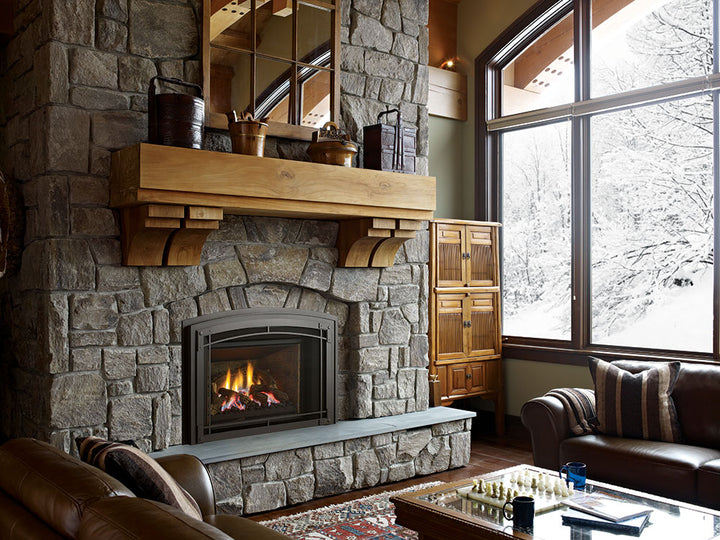 Regency® Liberty LRI6E Gas Insert