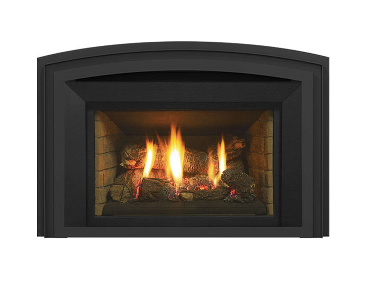 Regency® Liberty LRI3E Gas Insert