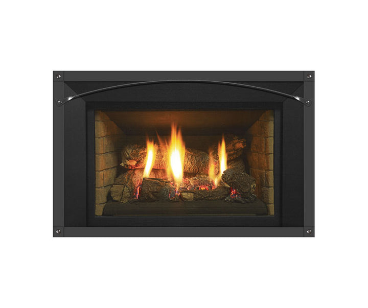 Regency® Horizon HRI3E Gas Insert