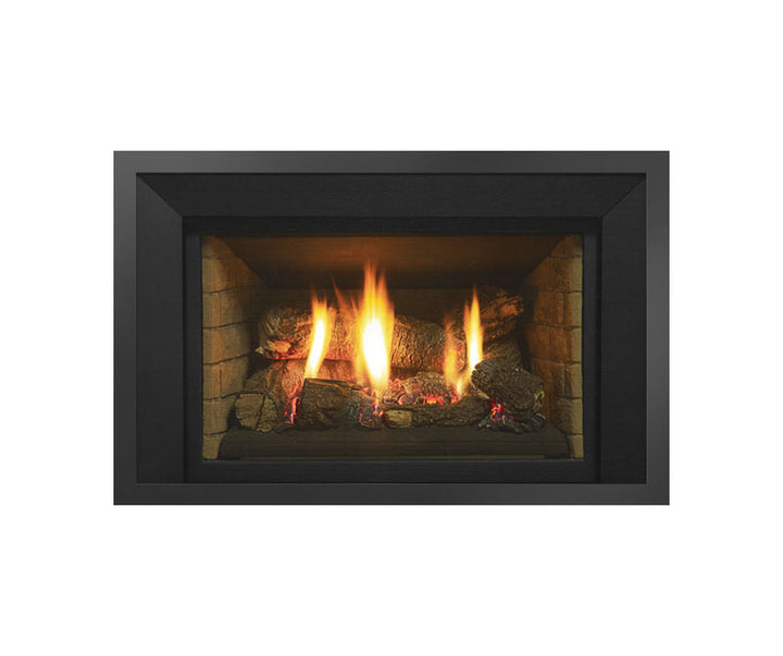Regency® Horizon HRI4E Gas Insert