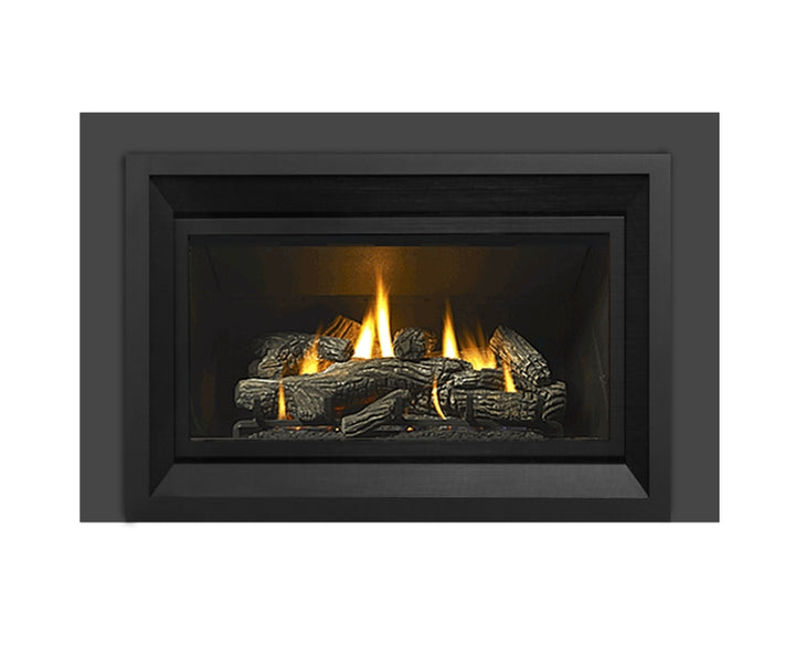 Regency® E33 Large High Efficiency Gas Insert
