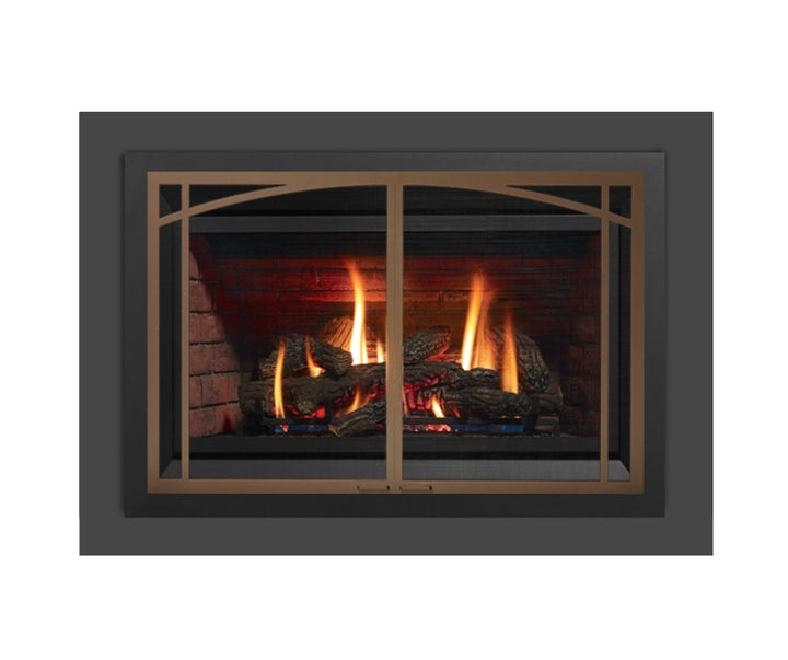 Regency® E33 Large High Efficiency Gas Insert