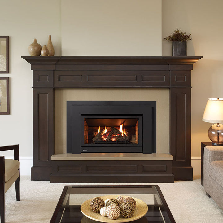 Regency® U31 Medium B-Vent Gas Inserts