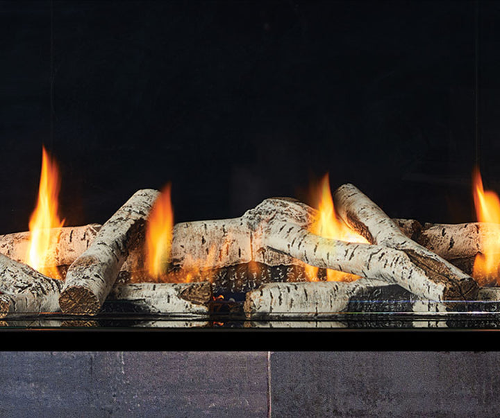 Regency® City Series San Francisco Bay DV Fireplace