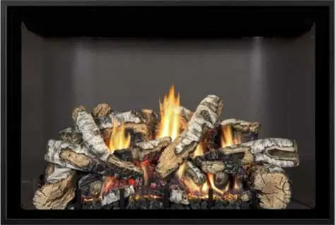 Mendota FV36 Gas Fireplace FullView