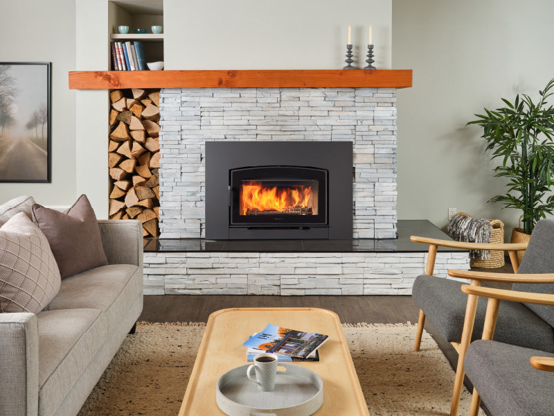 Regency® Alterra Pro Wood Insert 3000 Arched | Hearth Doctor