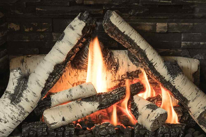 Valor H3 gas fireplace birch log fuel bed