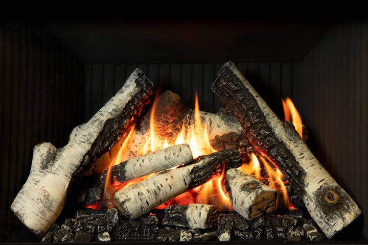 Valor G3.5 gas insert with birch logs