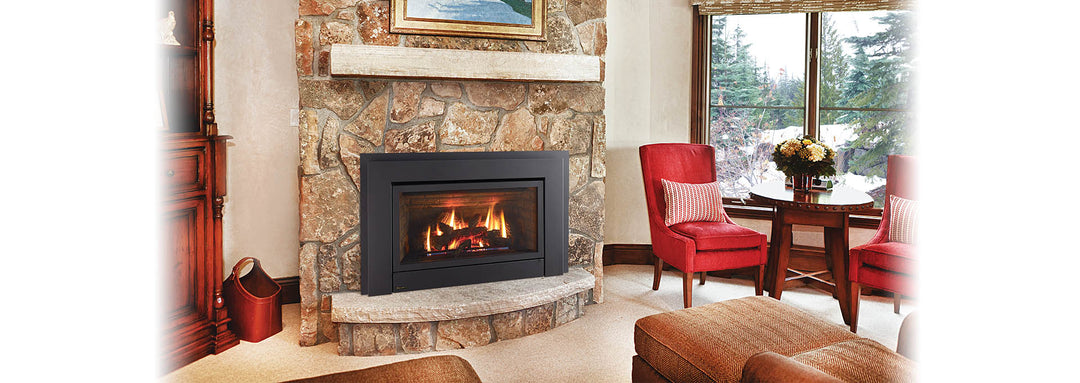 Regency Energy E33 gas insert