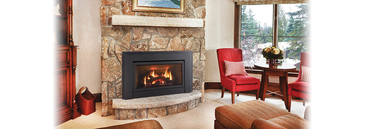 Regency Energy E33 gas insert