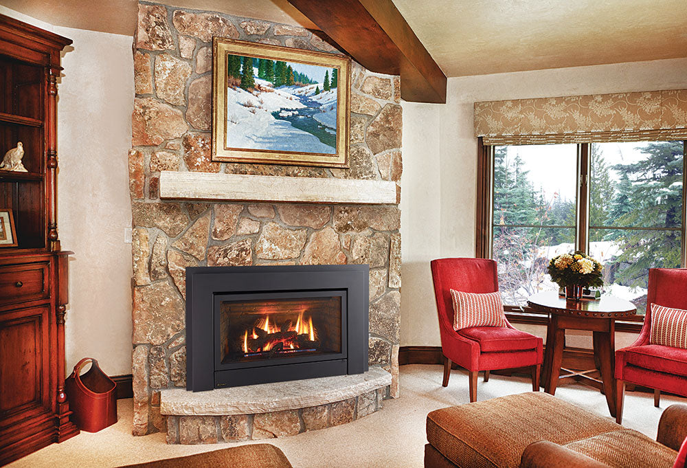 Regency Energy E33 gas insert