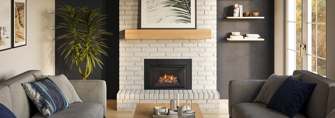 Regency Atmosphere Gi27 gas insert