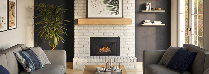 Regency Atmosphere Gi27 gas insert