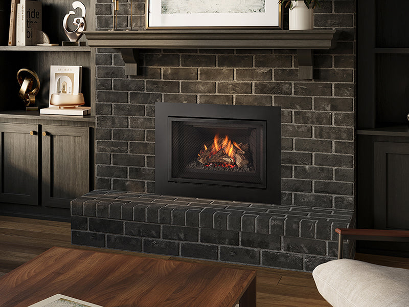 Regency Atmosphere Gi27 gas insert