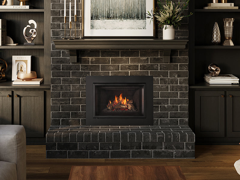 Regency Atmosphere Gi27 gas insert