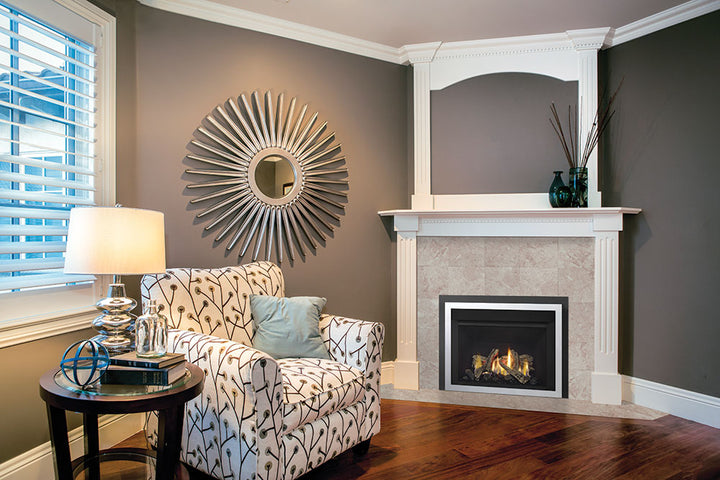 Regency® Horizon HRI3E Gas Insert