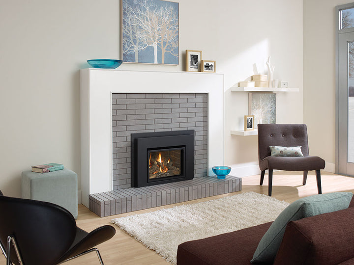 Regency® Liberty L234 Gas Insert