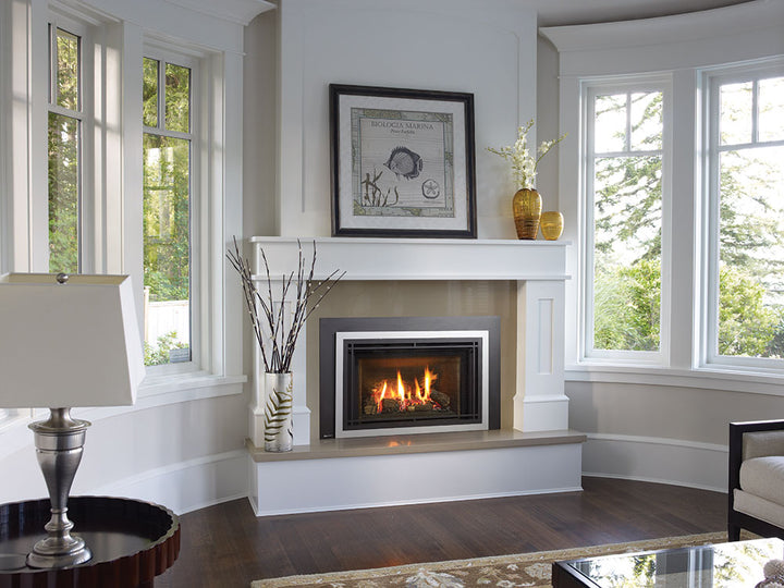 Regency® Radiant LRI4E Gas Insert