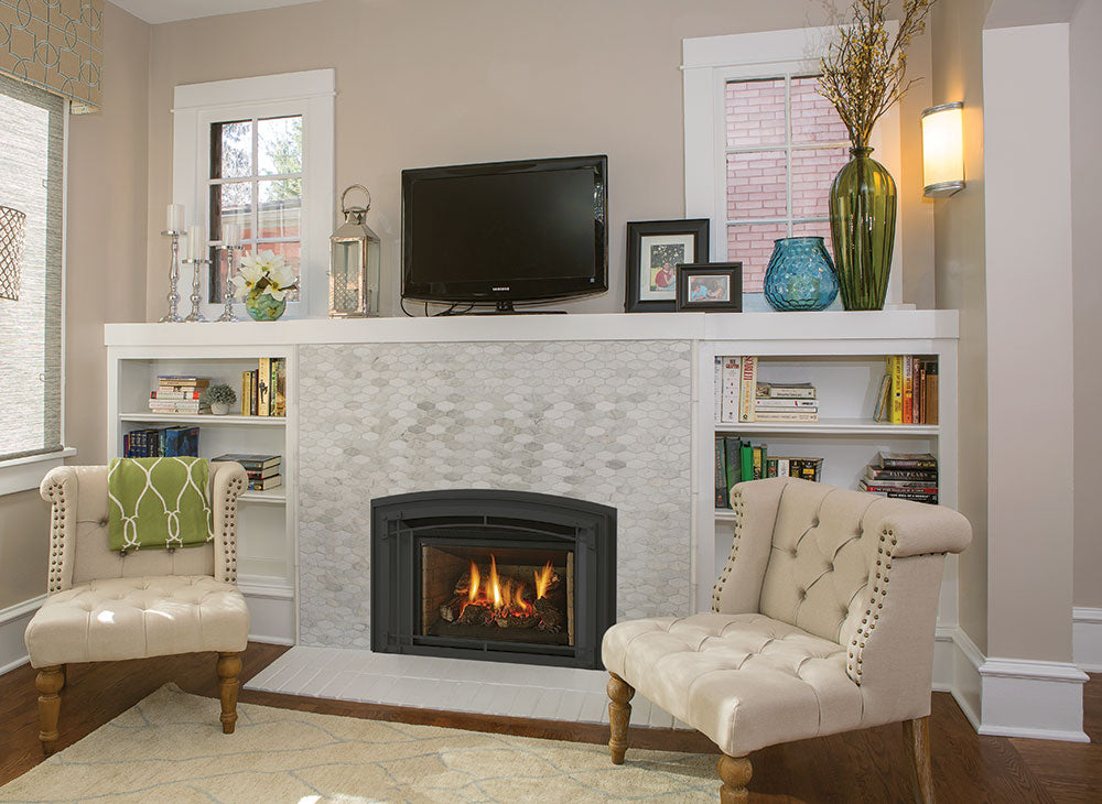 Regency® Radiant LRI4E Gas Insert