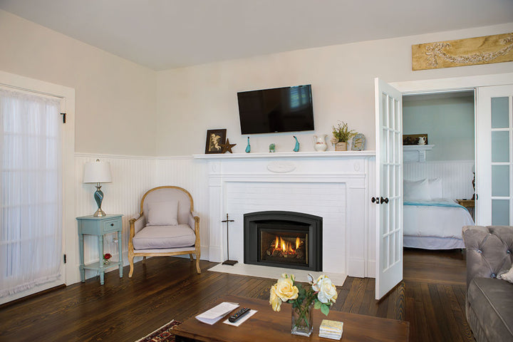 Regency® Radiant LRI4E Gas Insert