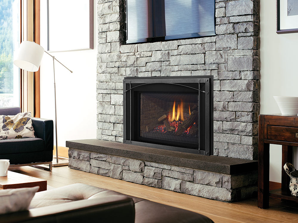 Regency® Liberty LRI6E Gas Insert