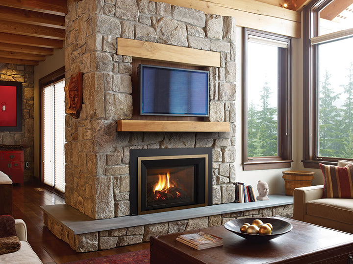 Regency® Liberty LRI6E Gas Insert