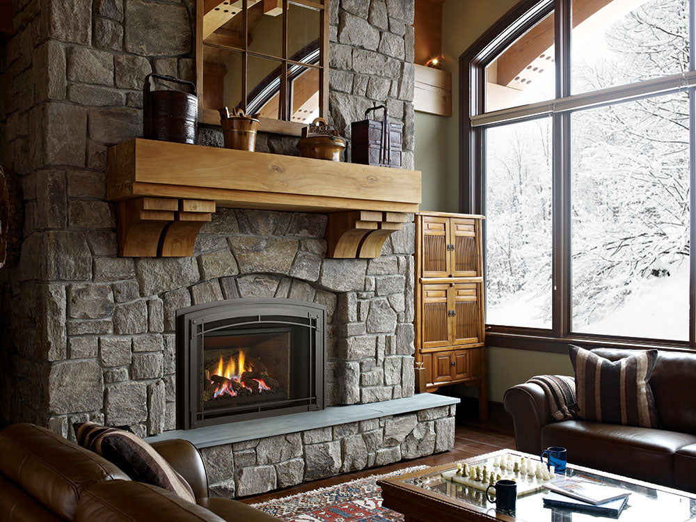 Regency® Liberty LRI6E Gas Insert