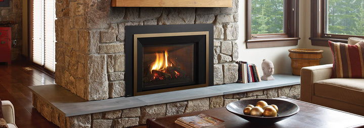 Regency® Liberty LRI6E Gas Insert