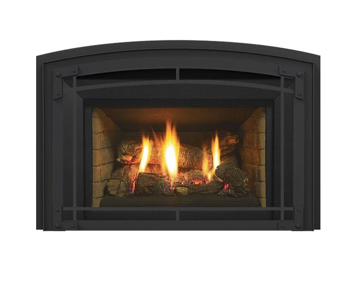 Regency® Horizon HRI6E Gas Insert