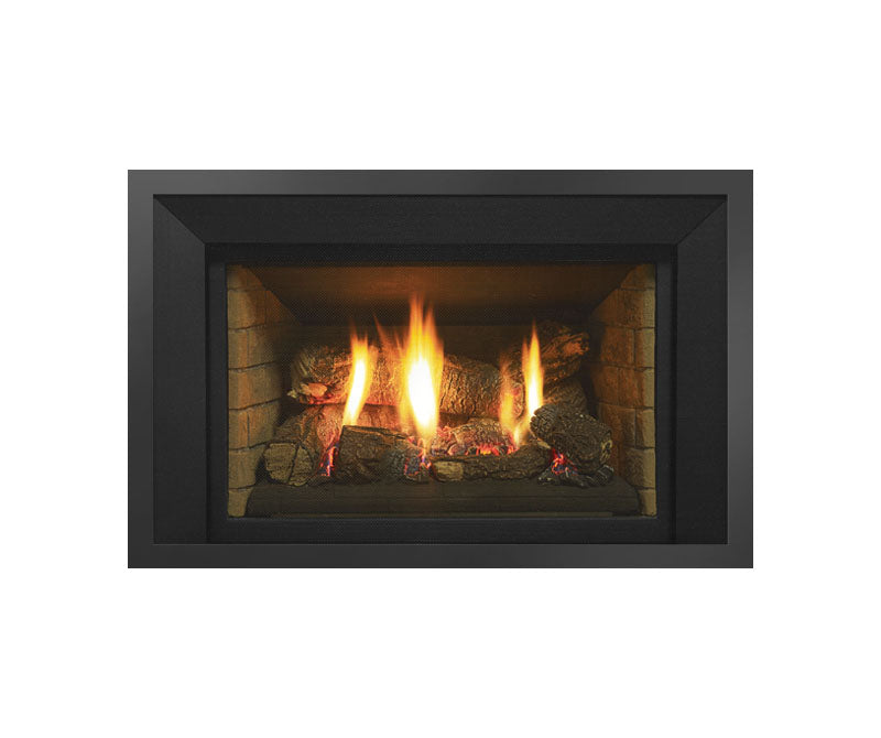 Regency® Horizon HRI6E Gas Insert