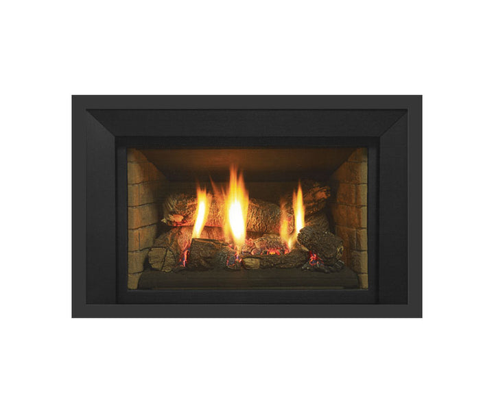 Regency® Radiant LRI4E Gas Insert