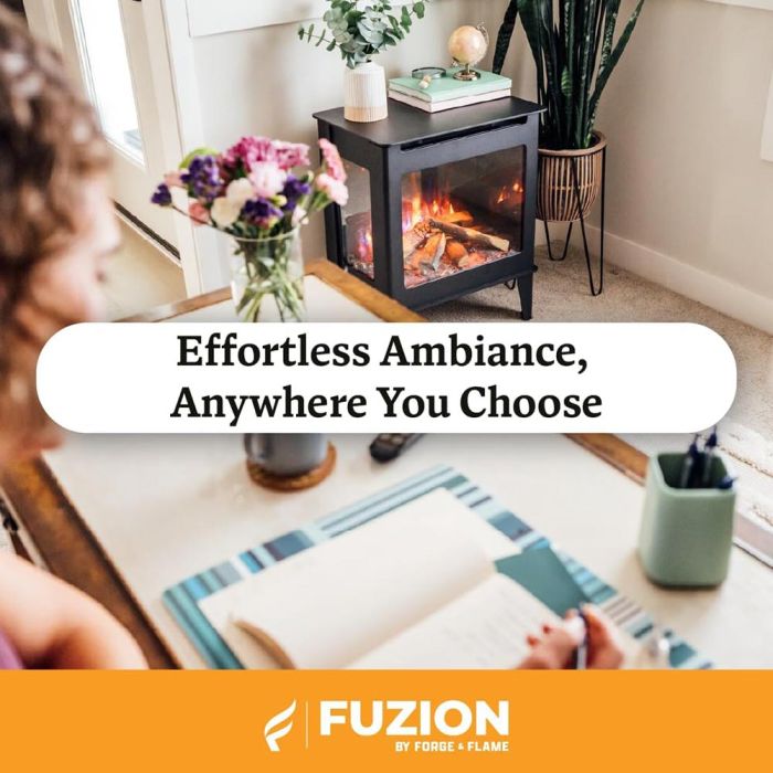 Fuzion Electric Stove